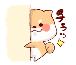 Kichimaru of the Japanese midget Shiba sticker #5489340