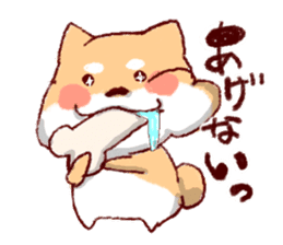 Kichimaru of the Japanese midget Shiba sticker #5489343