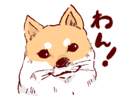 Kichimaru of the Japanese midget Shiba sticker #5489367