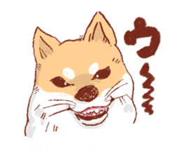 Kichimaru of the Japanese midget Shiba sticker #5489368