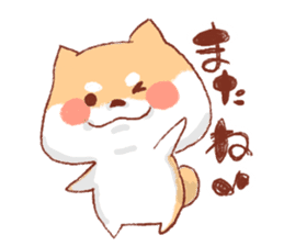 Kichimaru of the Japanese midget Shiba sticker #5489370