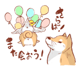 Kichimaru of the Japanese midget Shiba sticker #5489379