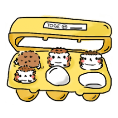 Softly little Hedgehogs 'Hari-san'