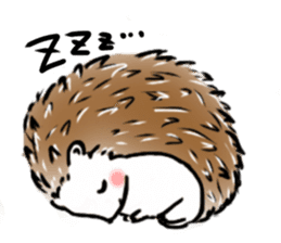 Softly little Hedgehogs 'Hari-san' sticker #5489744