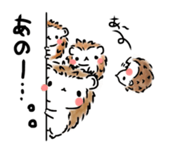 Softly little Hedgehogs 'Hari-san' sticker #5489747