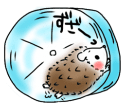 Softly little Hedgehogs 'Hari-san' sticker #5489768