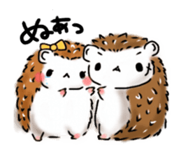 Softly little Hedgehogs 'Hari-san' sticker #5489777