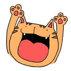 loose cat cute cat