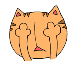 loose cat cute cat sticker #5491029