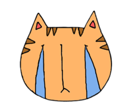 loose cat cute cat sticker #5491041