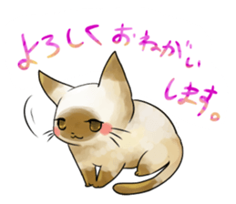 very lovely cats sticker #5494671