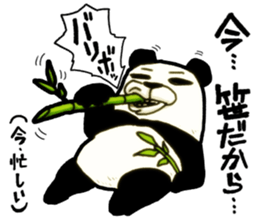Bamboo is favorite food of the Panda sticker #5497690