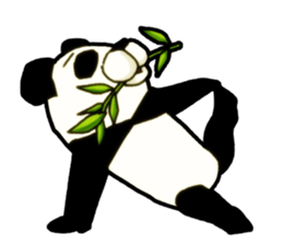 Bamboo is favorite food of the Panda sticker #5497694