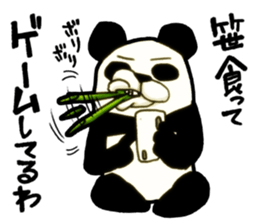Bamboo is favorite food of the Panda sticker #5497698