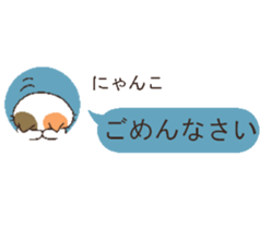 talking cute cats2 sticker #5498474