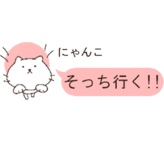 talking cute cats2 sticker #5498498