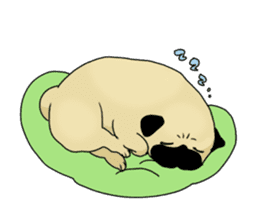 soft pug sticker #5500841