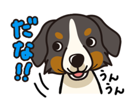 iinu - Bernese Mountain Dog sticker #5501068