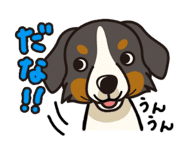 iinu - Bernese Mountain Dog sticker #5501068