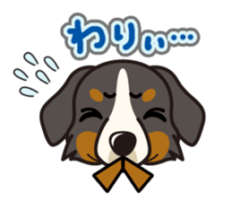 iinu - Bernese Mountain Dog sticker #5501071