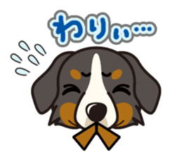 iinu - Bernese Mountain Dog sticker #5501071