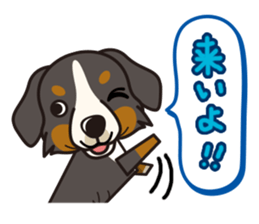 iinu - Bernese Mountain Dog sticker #5501073