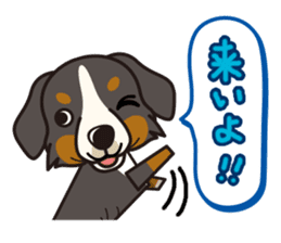 iinu - Bernese Mountain Dog sticker #5501073
