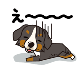 iinu - Bernese Mountain Dog sticker #5501076