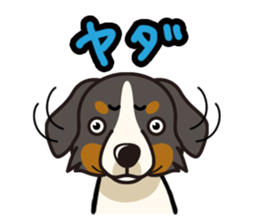 iinu - Bernese Mountain Dog sticker #5501077