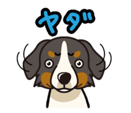 iinu - Bernese Mountain Dog sticker #5501077