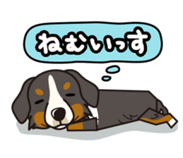 iinu - Bernese Mountain Dog sticker #5501082