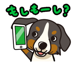 iinu - Bernese Mountain Dog sticker #5501087