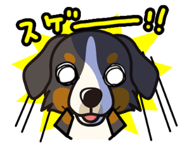 iinu - Bernese Mountain Dog sticker #5501088