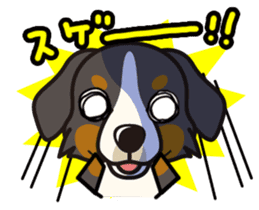 iinu - Bernese Mountain Dog sticker #5501088