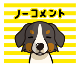 iinu - Bernese Mountain Dog sticker #5501095