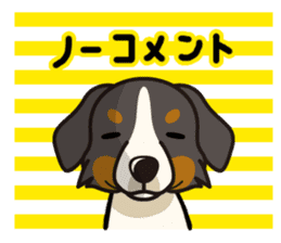 iinu - Bernese Mountain Dog sticker #5501095