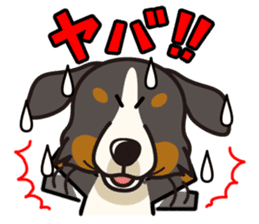 iinu - Bernese Mountain Dog sticker #5501096