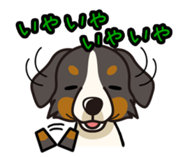 iinu - Bernese Mountain Dog sticker #5501099