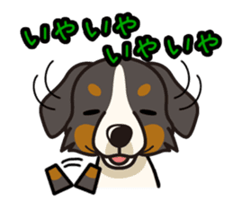 iinu - Bernese Mountain Dog sticker #5501099