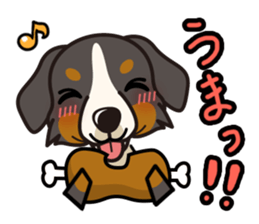 iinu - Bernese Mountain Dog sticker #5501100