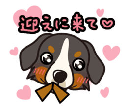 iinu - Bernese Mountain Dog sticker #5501103
