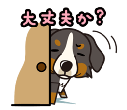 iinu - Bernese Mountain Dog sticker #5501105