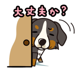 iinu - Bernese Mountain Dog sticker #5501105