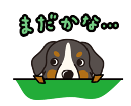 iinu - Bernese Mountain Dog sticker #5501106