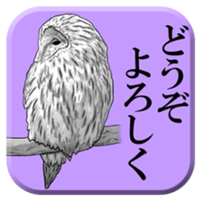 From behind of animals sticker #5501949