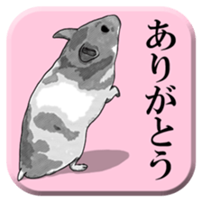 From behind of animals sticker #5501950