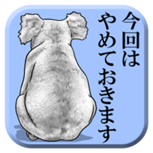 From behind of animals sticker #5501955