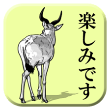 From behind of animals sticker #5501960