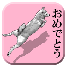 From behind of animals sticker #5501971