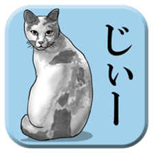 From behind of animals sticker #5501977